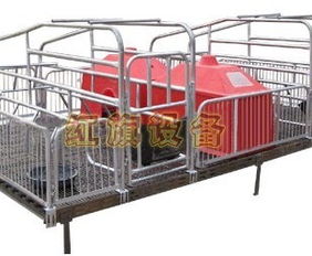 安平县红旗养猪设备厂 专注于养殖设备供应的可靠合作伙伴