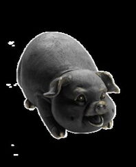 发财猪 联汉国际资讯股份旗下bysources猪产品的全面解析