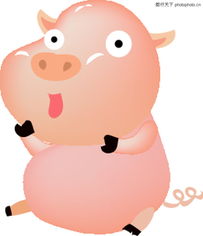 时尚萌趣 从“猪0042”到矢量插画的创意进化